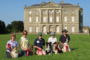 Down District Agility Show at Castle Ward