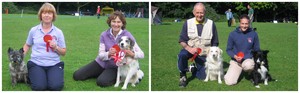 Golden Retriever Show