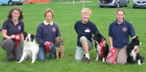 Lisburn Agility Show