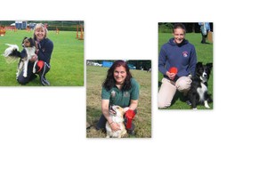 Belfast Dog Show