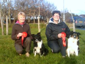 Castlereagh Obedience show