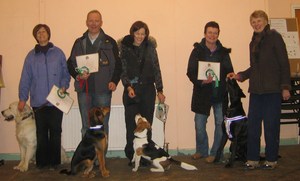 Good Citizen Bronze Awards