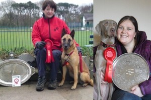 Bangor Obedience Show