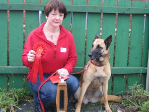 Lisburn & District DTC Open Obedience Show