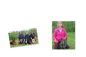 Castlereagh & District Agility Show
