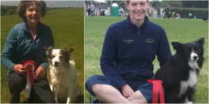 Golden Retriever Obedience and Agility Show