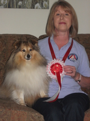Lisburn &District DTC Agility Show