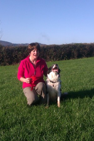 Glandore Obedience Show