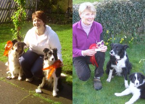 Bangor Obedience Show