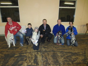 Puppy Foundation Successes
