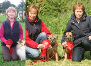Castlereagh Open Agility Show