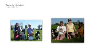 Ballyrawer Show