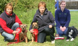 Down District Agility Show