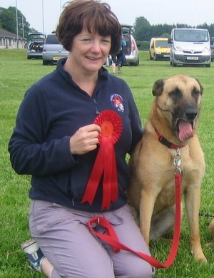 Down District Agility Show &