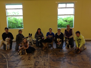KC Puppy Assessment Successes