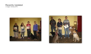Bronze Award Successes