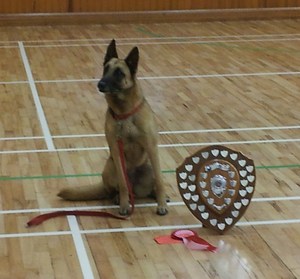 Coleraine Obedience Show