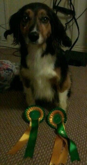 Celtic Winners Show