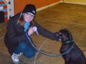 KC Puppy Assessment