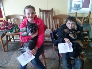 Puppy Assessment