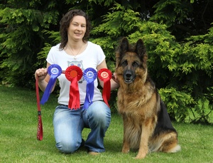 Lisburn DTC Show