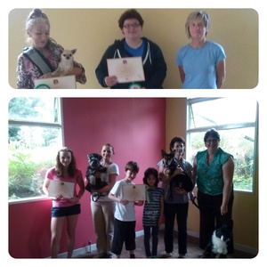 Good Citizen Bronze Awards