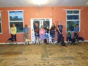 Puppy assessments