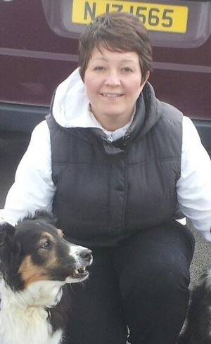 Bangor Obedience Show