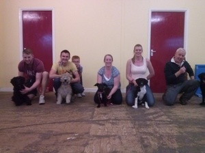 KC Puppy Assessments