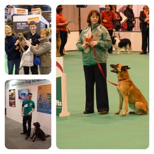 Crufts 2015