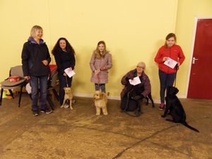 Kennel Club Awards