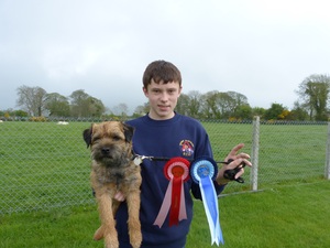 Down District DTC Agility Show