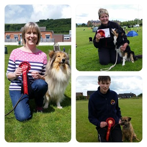 Glandore Open Obedience and Agility Show