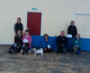 KCGCS Puppy Assessments