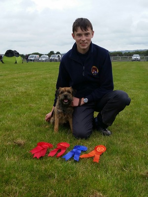Lisburn Agility show