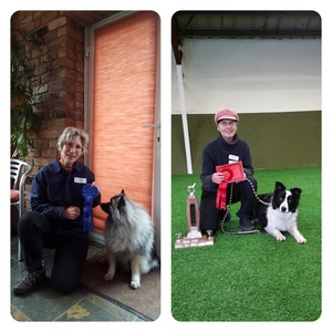 Lisburn  Obedience Show