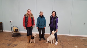 Kennel Club Puppy Assessments