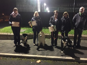 Kennel Club Good Citizen Awards