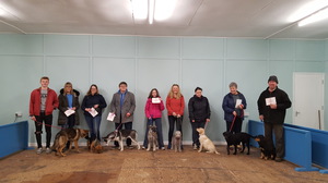 Kennel Club Good Citizen Scheme