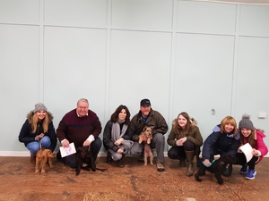 Christmas Puppy Assessments